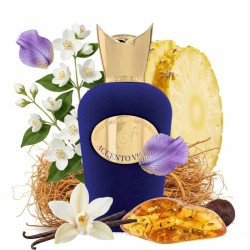 Accelement Viola 100 ml - Sospiro