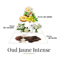 Od jaune intense 100 ml - Fragrance Du Bois