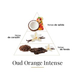 Oud arancione intenso 100 ml - Fragrance Du Bois Consigli e spedizioni gratuiti!