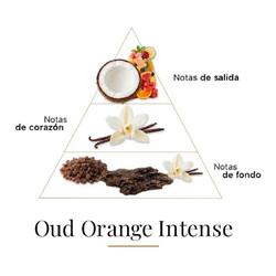 out橙色强烈100毫升 -  Fragrance Du Bois