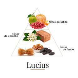 Lucius - Fragrance Du Bois