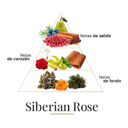 Siberian Rose 100 ml - Fragrance Du Bois