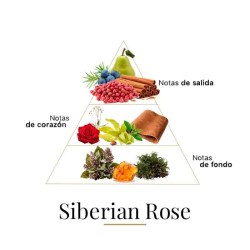 Siberian Rose 100 ml - Fragrance Du Bois ¡Asesoría y Envíos Gratis!