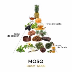Ember - MOSQ ¡Asesoría y Envíos Gratis!