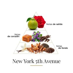 Nova York 5th Avenue 100 ml - Fragrance Du Bois Aconselhamento gratuito e remessas!