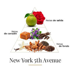 纽约第5大道100毫升 -  Fragrance Du Bois