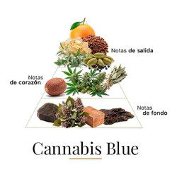 Cannabis bleu 100 ml - Fragrance Du Bois
