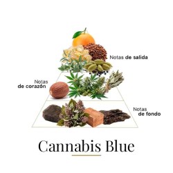 Cannabis Blue 100 ml - Fragrance Du Bois ¡Asesoría y Envíos Gratis!