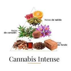 Cannabis Intense 100 ml - Fragrance Du Bois