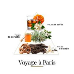 Voyage À Paris Extrait 100ml - Fragrance Du Bois ¡Asesoría y Envíos Gratis!