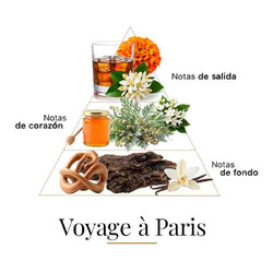 Voyage à Paris Extract 100ml - Fragrance Du Bois