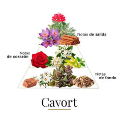Kavort 100 ml - Fragrance Du Bois