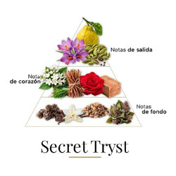 Секретный Tryst 100 мл - Fragrance Du Bois