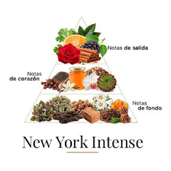 Nova York intenso 100 ml - Fragrance Du Bois