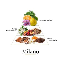 Milano 100ml - Fragrance Du Bois ¡Asesoría y Envíos Gratis!