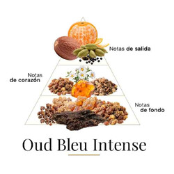 Oud Bleu Intens 100 ml - Fragrance Du Bois
