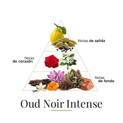Oud Noir Intense 100 ml - Fragrance Du Bois ¡Asesoría y Envíos Gratis!