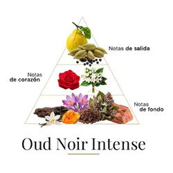 Oud noir intenso 100 ml - Fragrance Du Bois