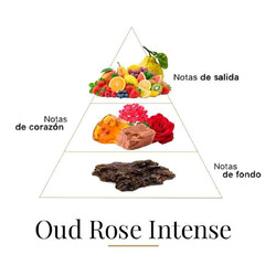 oud玫瑰强烈100毫升 -  Fragrance Du Bois