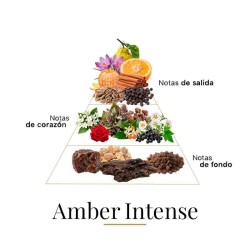 Âmbar intenso 100 ml - Fragrance Du Bois Aconselhamento gratuito e remessas!