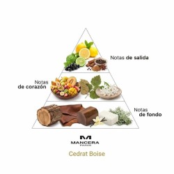 Cedrat Boise - Mancasa Frete Grátis!