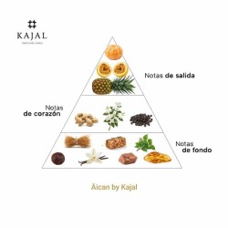 Äican by Kajal Edp 100 ml - Kajal ¡Envíos Gratis!