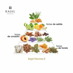 Kajal Homme LL EDP 100 ml  -  Kajal免费送货！!