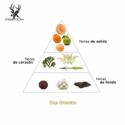 Dux orientering - Pana Dora Sweden Gratis råd og forsendelser!