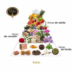 Bahar EDP 50 ml - O Espírito de Dubai Aconselhamento e Envios Livres!
