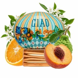 Ciao - A casa da consultoria e transporte gratuitos!
