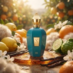 Purerba Xerjoff Free advice and shipments!