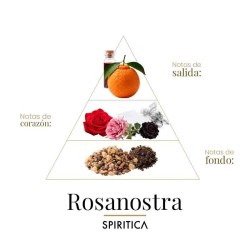罗斯坦斯特拉 -  Spiritica