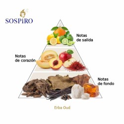 PURE ERBA OUD 100 ML - Sospiro Gratis råd og forsendelser!