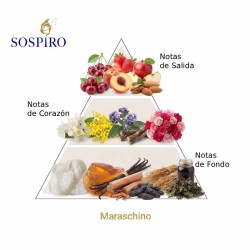 Maraschino 100 ml - Sospiro