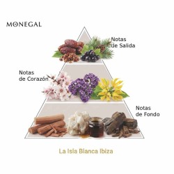 La Isla Blanca Ibiza EDP 100 ml - Ramon Monegal ¡Asesoría y Envíos Gratis!