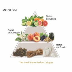 Ten Fresh Notes Parfum Cologne 100 ml - Ramon Monegal ¡Asesoría y Envíos Gratis!