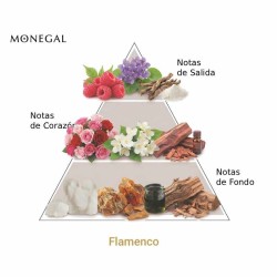 Flamenco EDP - Ramon Monegal Gratis advies en zendingen!