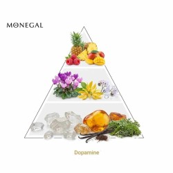 Dopamine 75 ml - Ramon Monegal ¡Asesoría y Envíos Gratis!