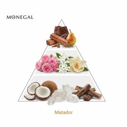 斗牛士 -  Ramon Monegal。 免费咨询和出货量！