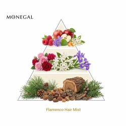 弗拉门戈头发雾 -  Ramon Monegal 免费送货！