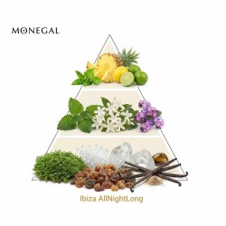 Ibiza allnightlong - Ramon Monegal Kostenlose Beratung und Sendungen!