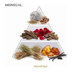 oud aftait de parfum的灵魂 -  Ramon Monegal