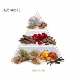 Soul Oud Extrait de Parfum - Ramon Monegal Kostenloser Versand!