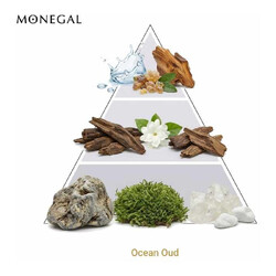 Ocean Oud Etald DE Parfum 50 ml - Ramon Monegal