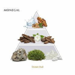 Ocean Oud Extrait de Parfum 50 мл - Ramon Monegal Бесплатная доставка!