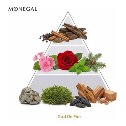 ODO su estrtura del fuoco da Parfum 50 ml - Ramon Monegal Spedizione gratuita!