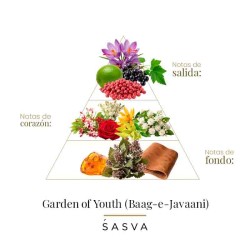 Garten der Jugend 100 ml - Sasva Kostenlose Beratung und Sendungen!
