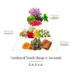青年花园100毫升 -  Sasva