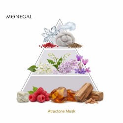 Atrativo musk edp - Ramon Monegal Frete grátis!