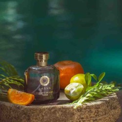Le Notti Di Goa - Palolem 100 ml - Sasva ¡Asesoría y Envíos Gratis!